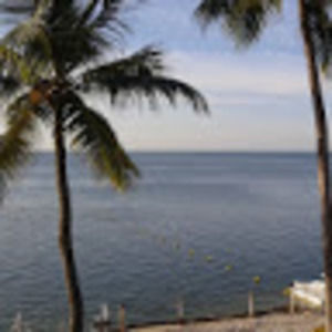 Meet your Posher, Albert